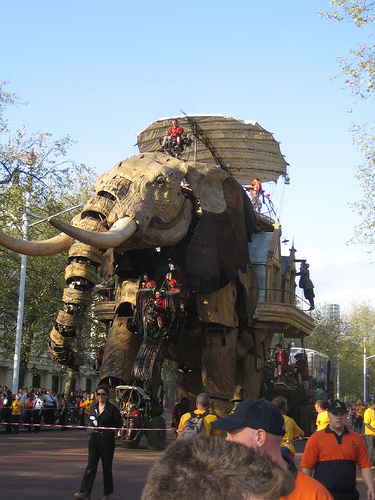 The Sultan's Elephant